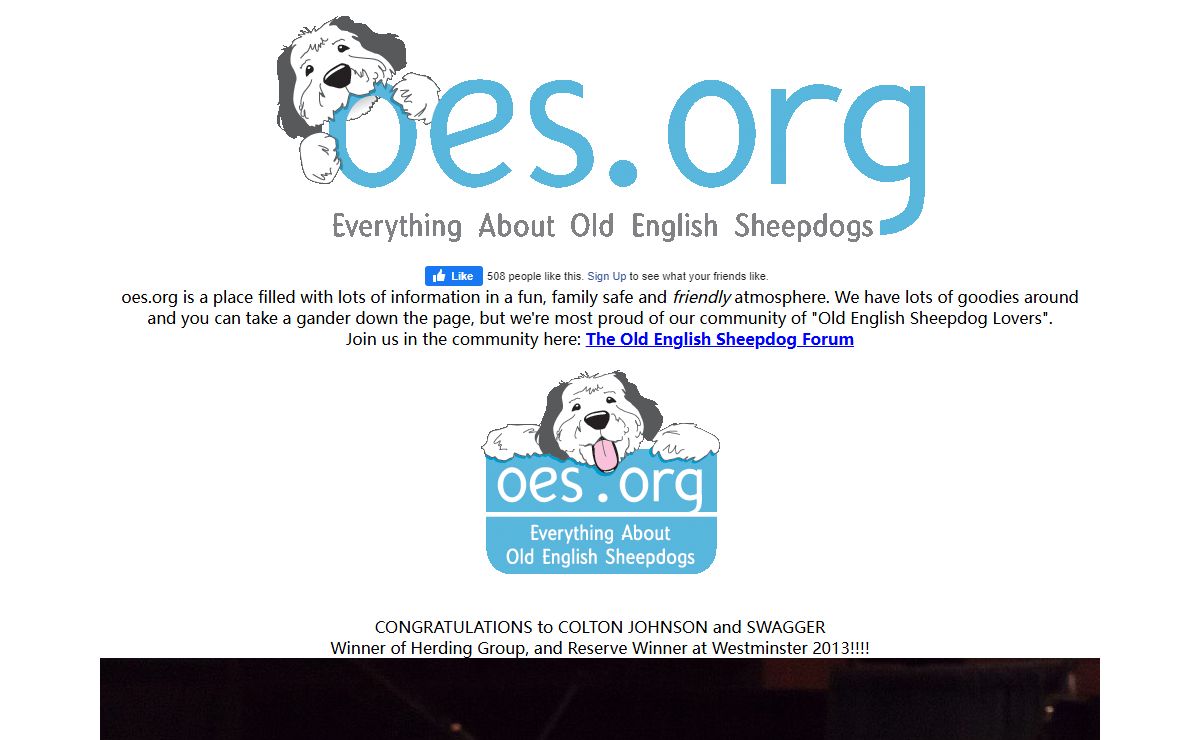Everything about Old English Sheepdogs - Old English Sheepdog - Old English Sheep Dog - Old English Sheep Dogs Home Page