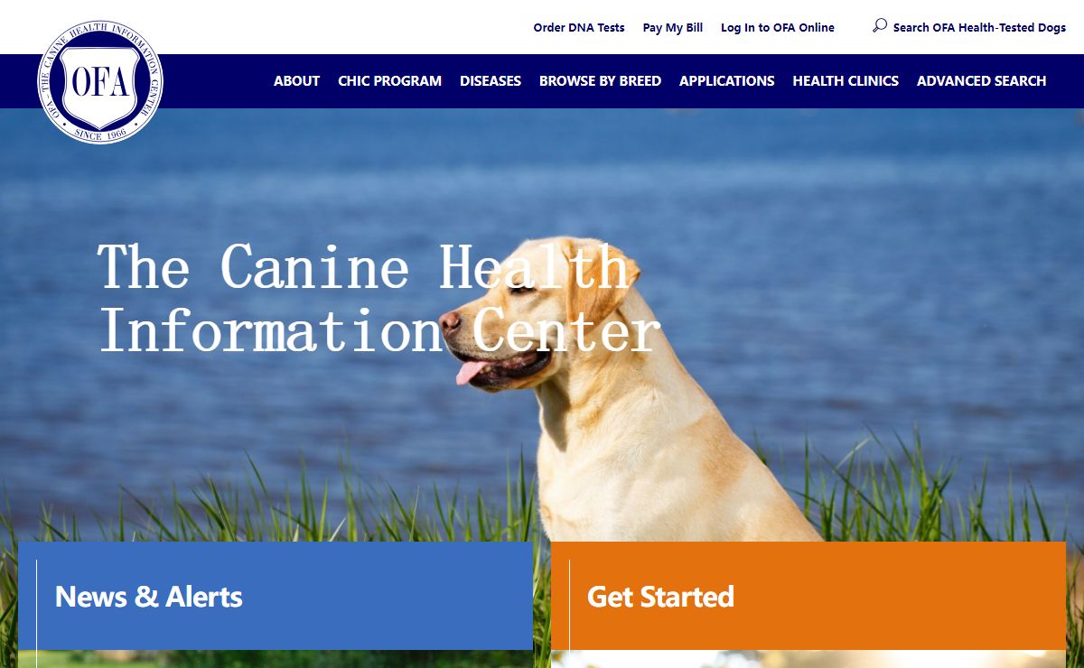 The Canine Health Information Center | OFA