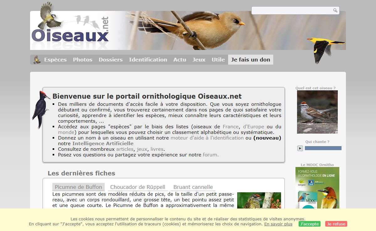 Les oiseaux