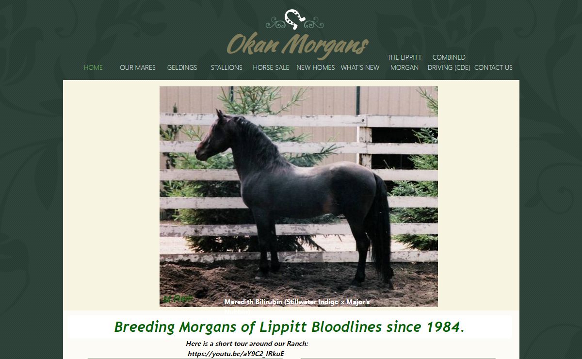Okan Morgans - Online