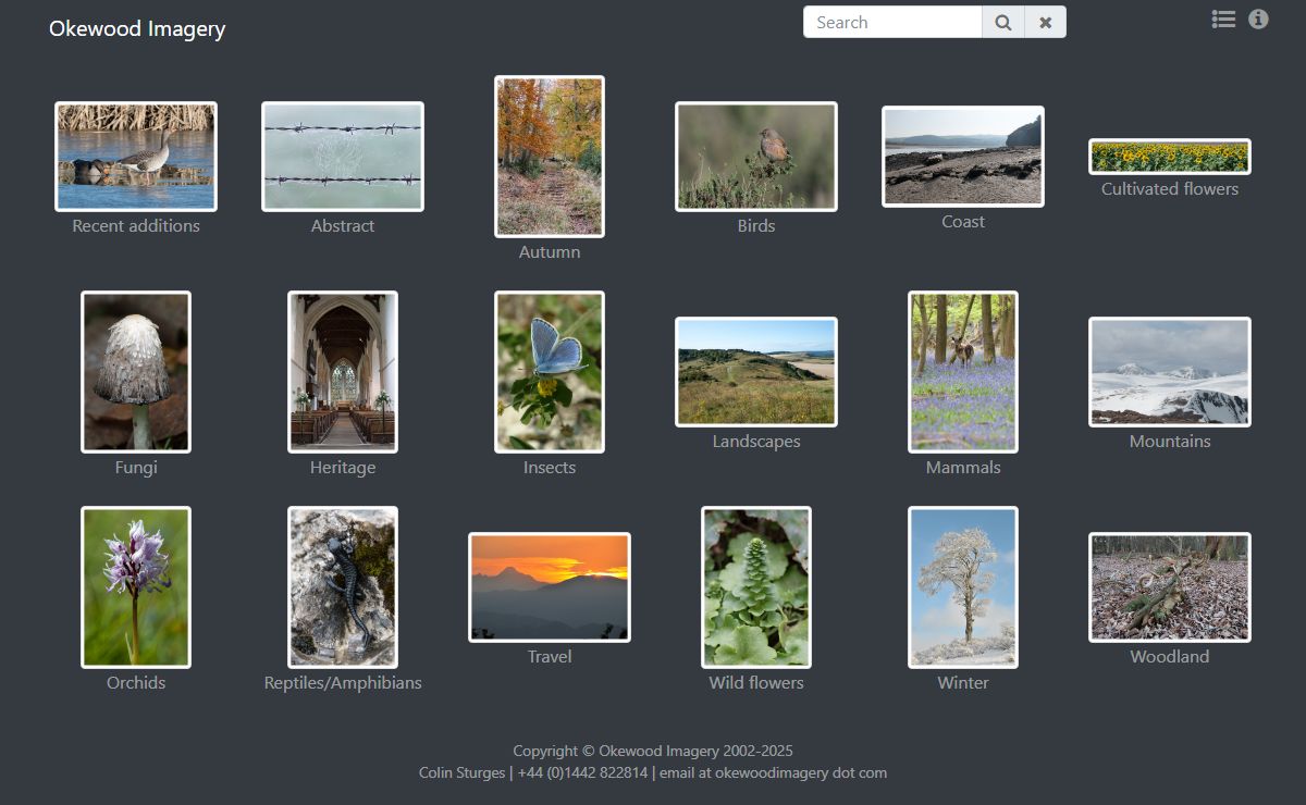 Okewood Imagery - Photography