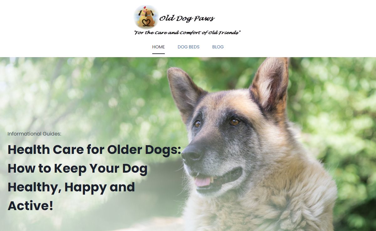 Health Care for Older Dogs - OldDogPaws