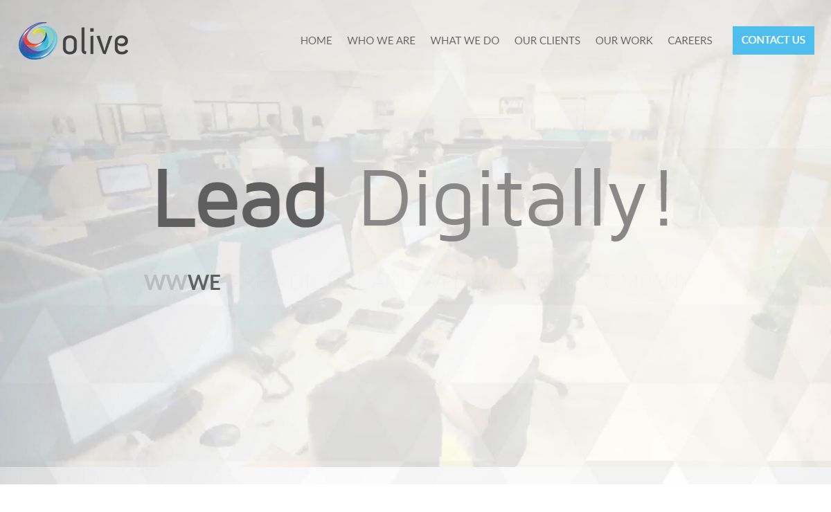Web Design Agency Delhi, Website Development Company India - Olive
