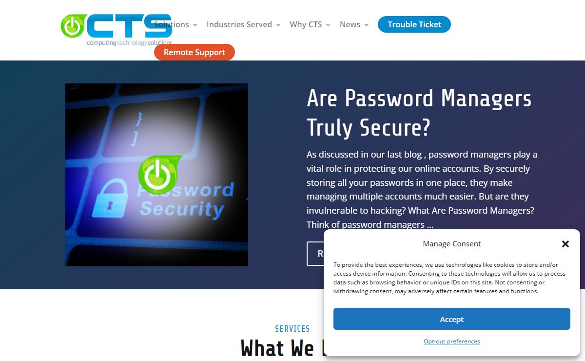 CTS - Chicago IT Consulting Company