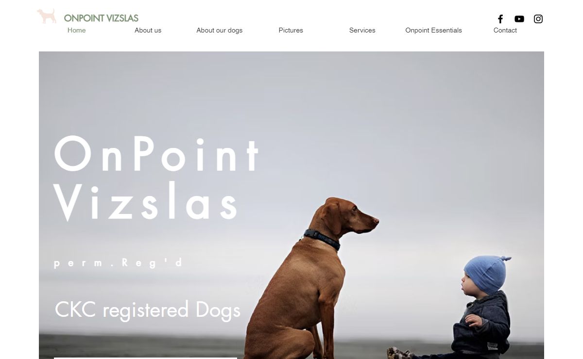 Breeder | OnPoint Vizslas | Ontario