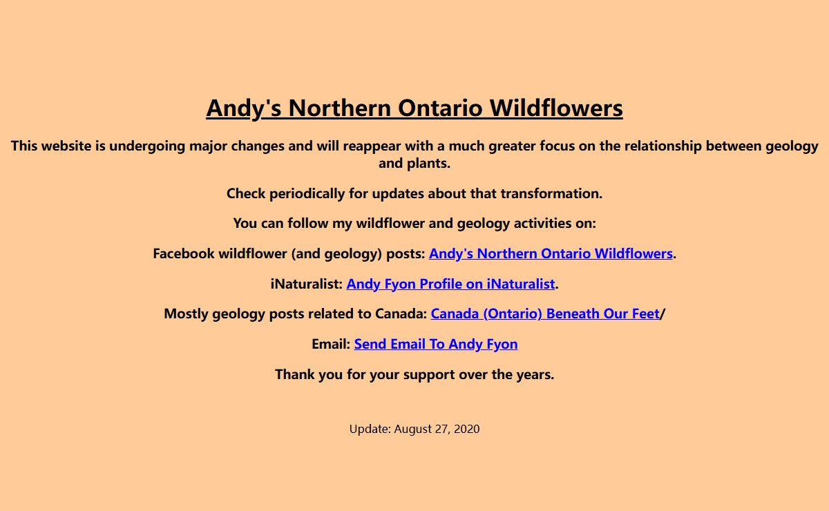 Andy's Northern Ontario Wildflowers