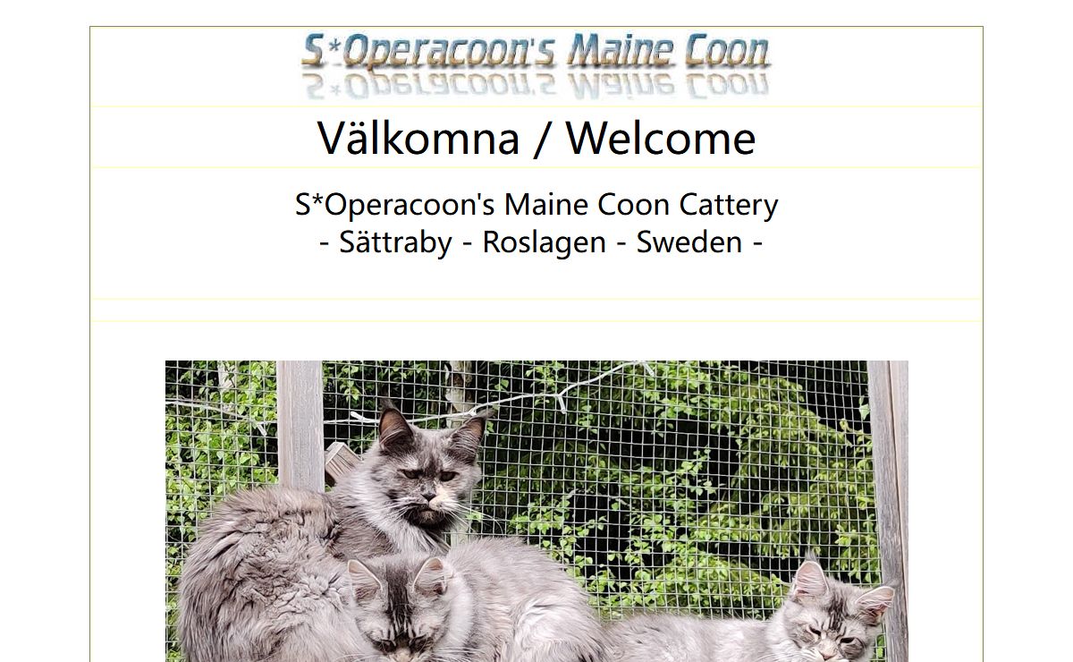 Operacoon's Maine Coon Välkommen/Welcome