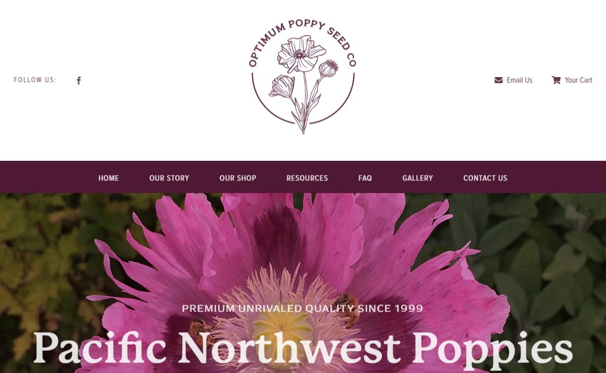 OPTIMUM POPPY SEED | Seed Company – Pacific Northwest Poppies