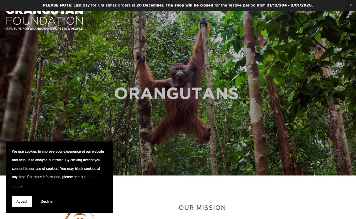 Orangutan Foundation