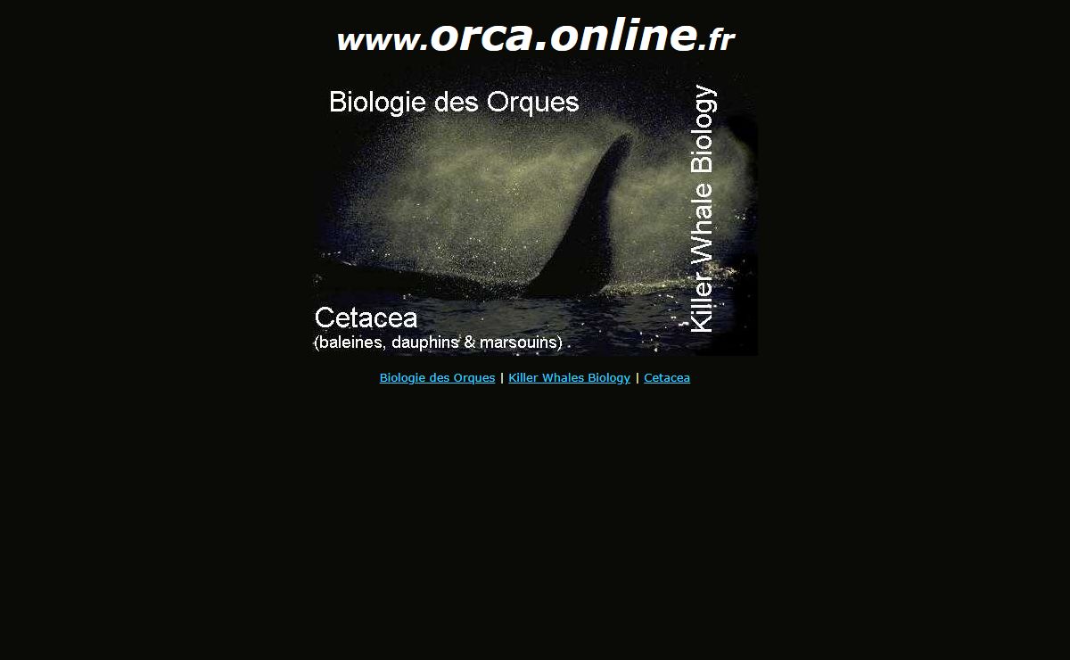 Biologie des orques | Killer whale biology, Orcinus orca