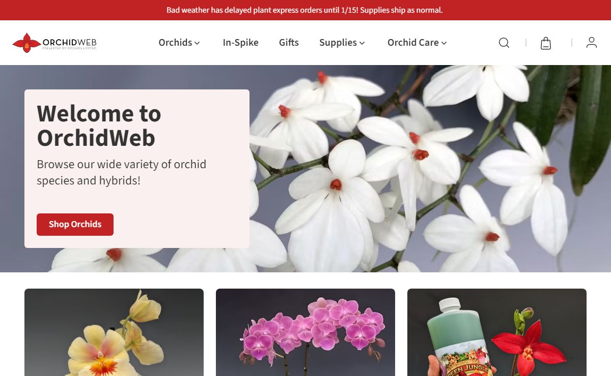 Buy Orchids and Orchid Supplies - OrchidWeb