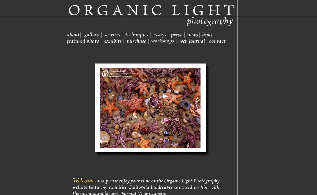 Organic Light Photography