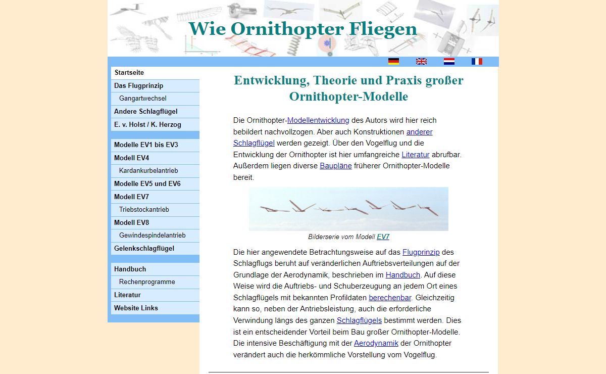 Wie Ornithopter fliegen
