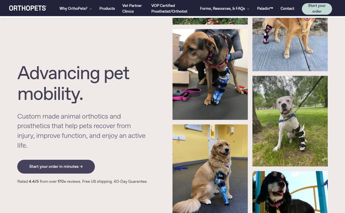 Custom Knee & Best ACL Brace For Dogs | Splint Dog Leg | OrthoPets
