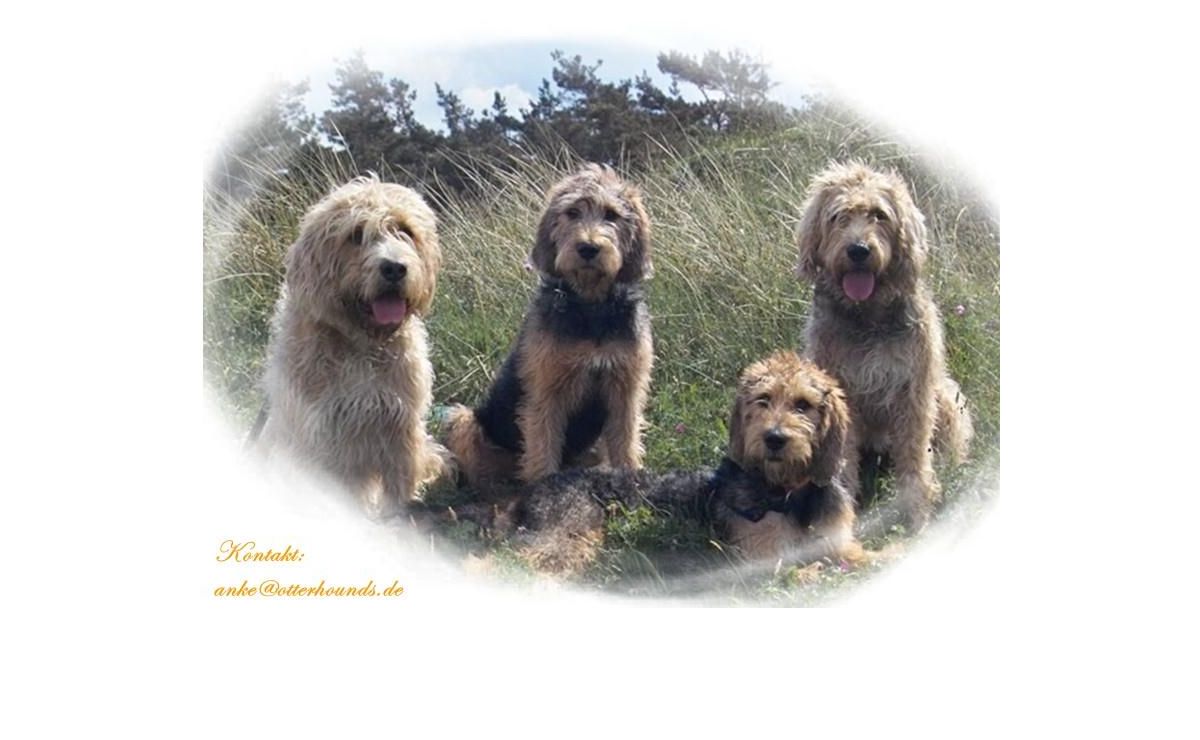 otterhounds.de