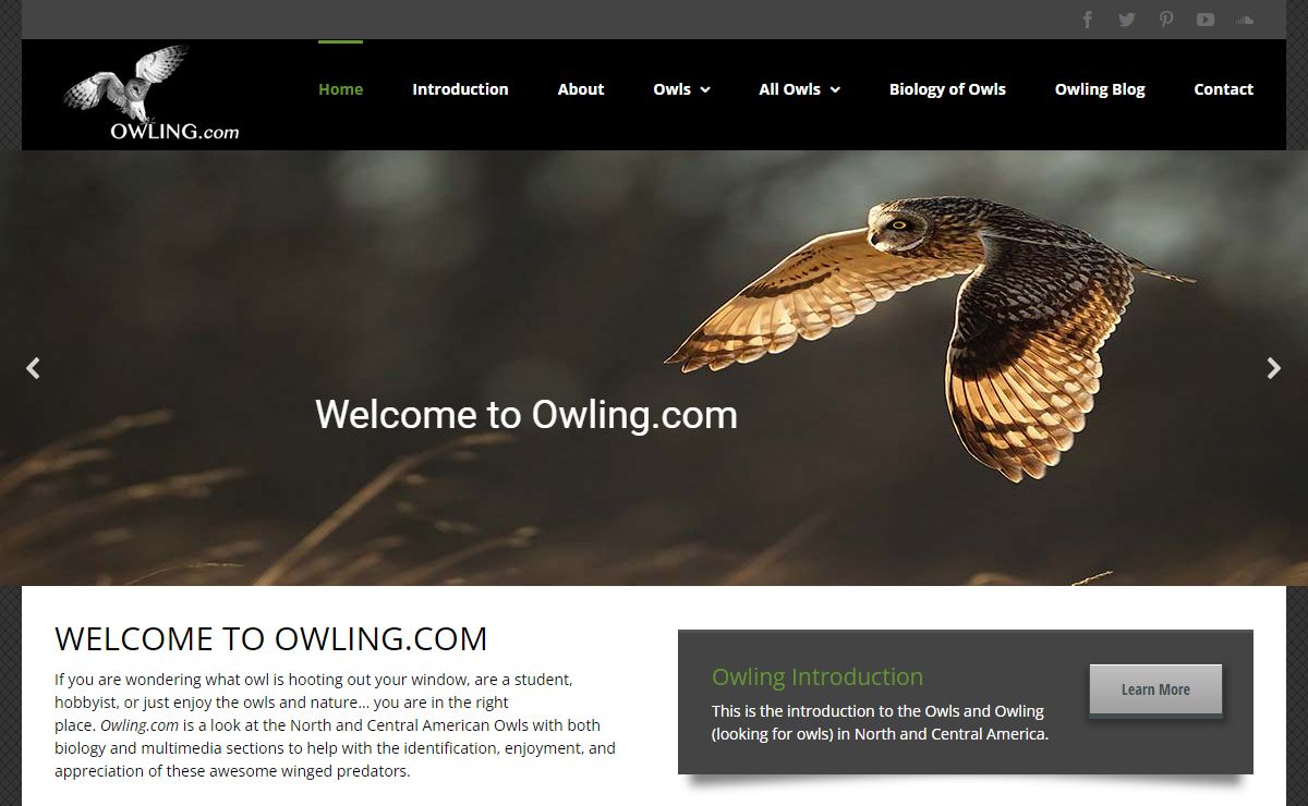 Owling.com - Photos, calls and info on North & Central American Owls