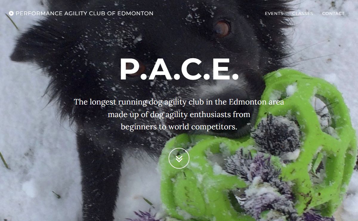 Performance Agility Club of Edmonton
