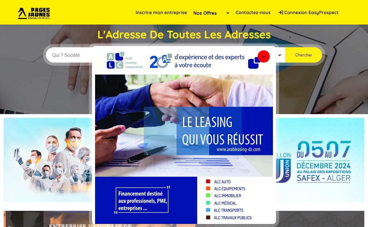 Annuaire des Entreprises Algeriennes, des activités professionnelles, industrielles, commerciales et artisanales en Algérie, Pages Jaunes Algérie