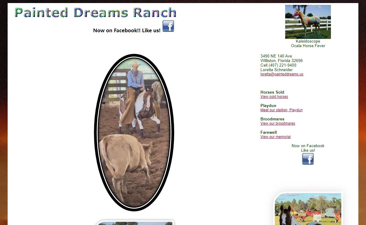 Painted Dreams Ranch - Paint Horses