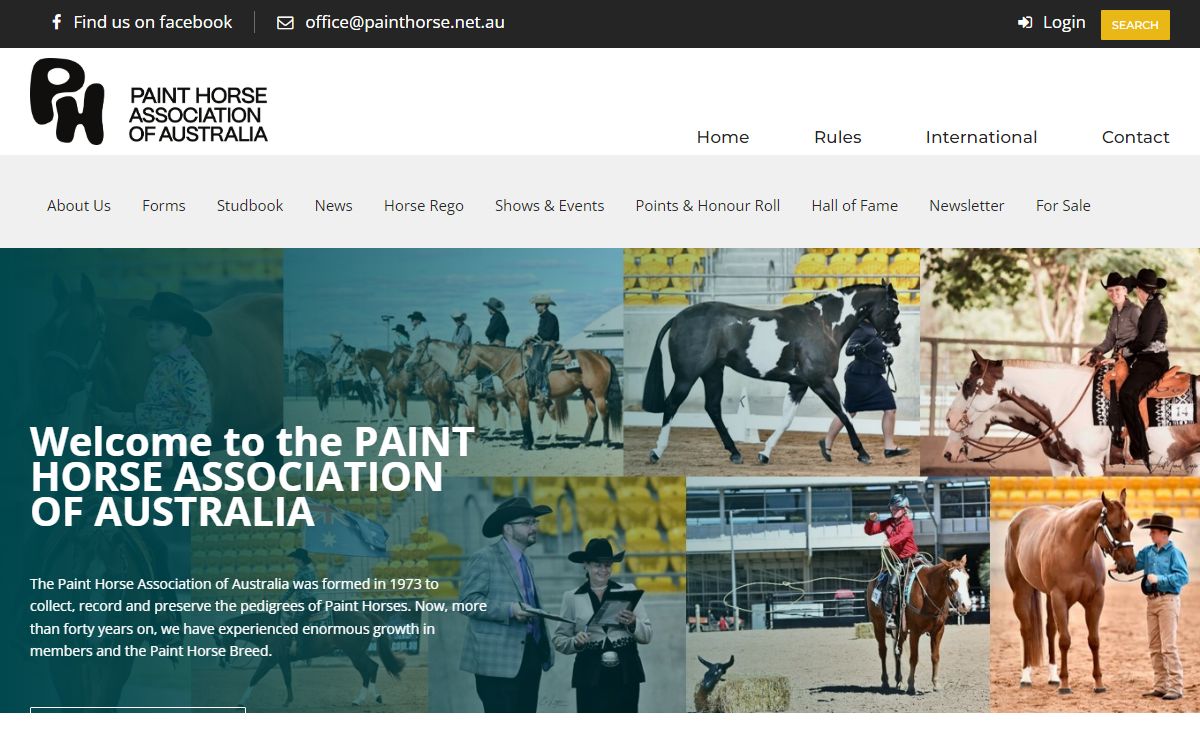 Paint Horse Association of Australia - Home