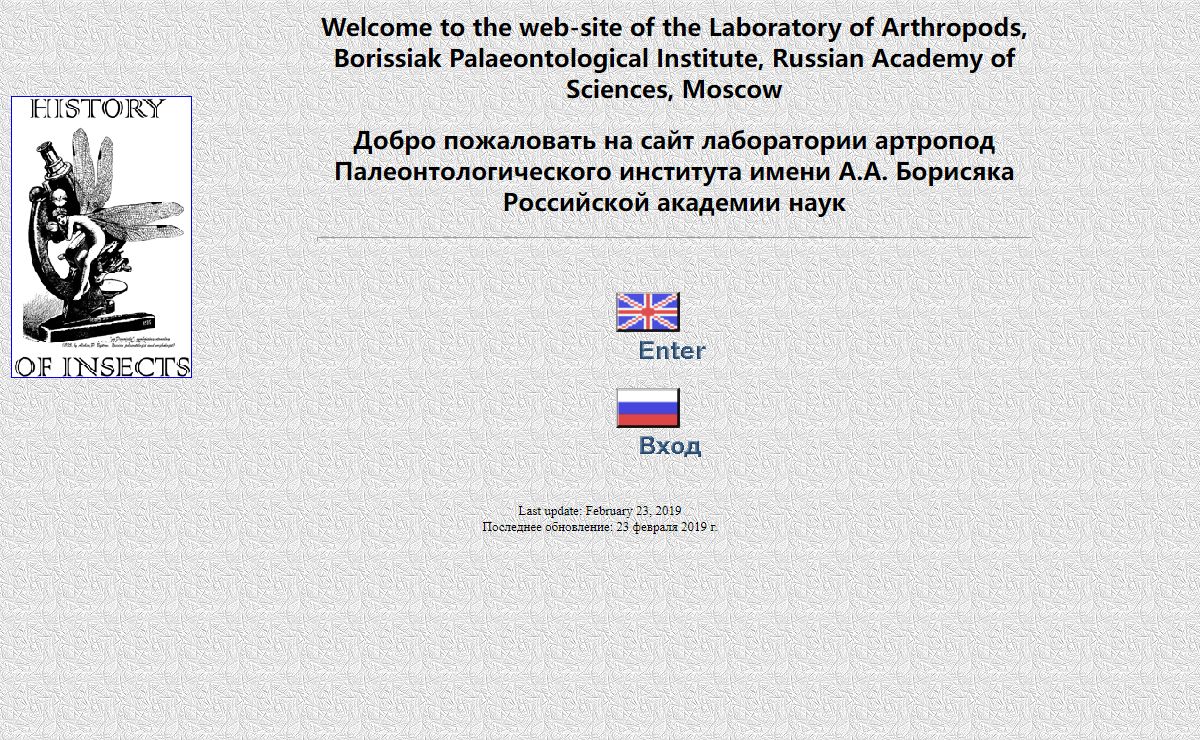 Palaeoentomology in Russia