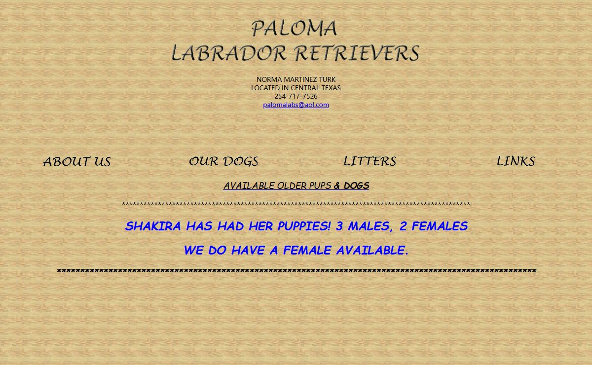 Paloma Labrador Retrievers - Breeders of AKC Yellow & Black & Chocolate English labrador retrievers Lab puppies for sale