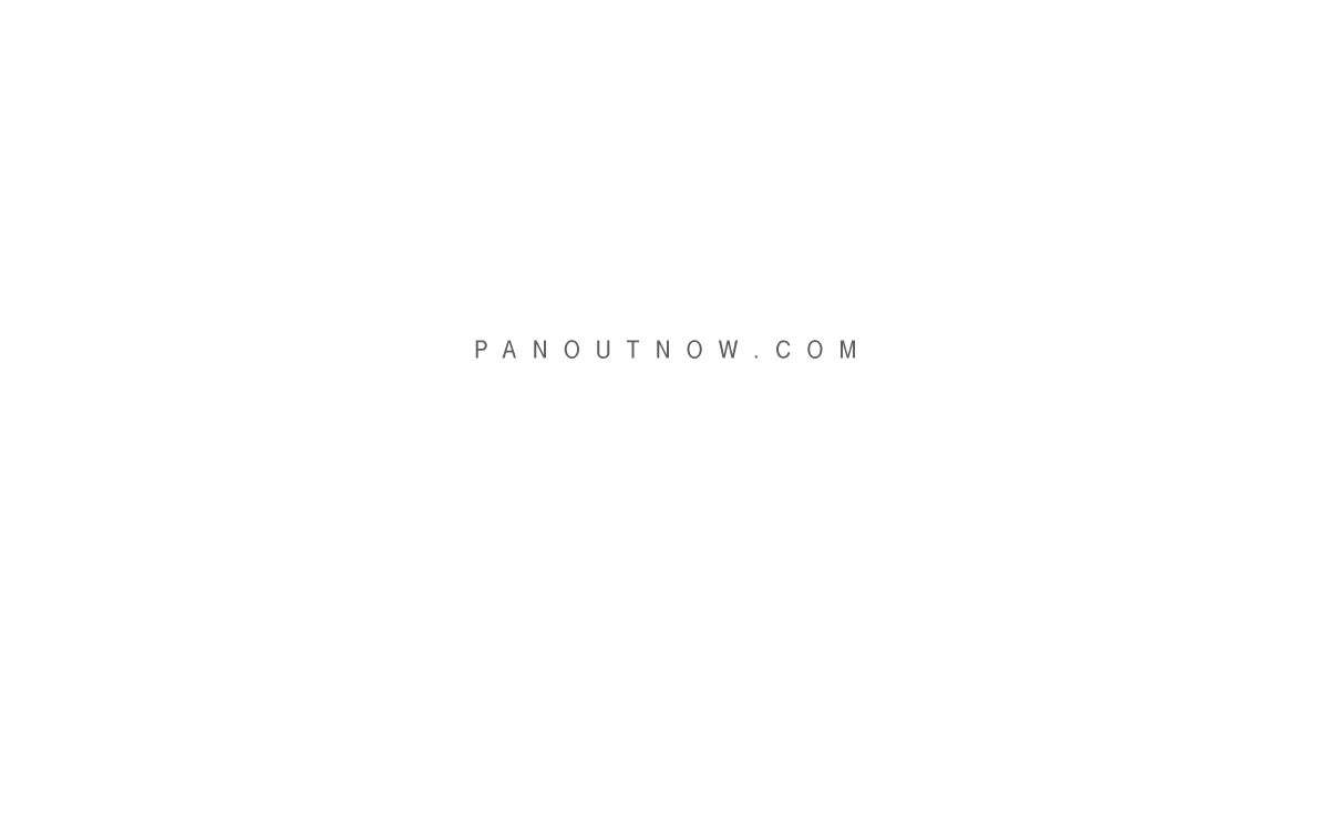 Pan Out Now
