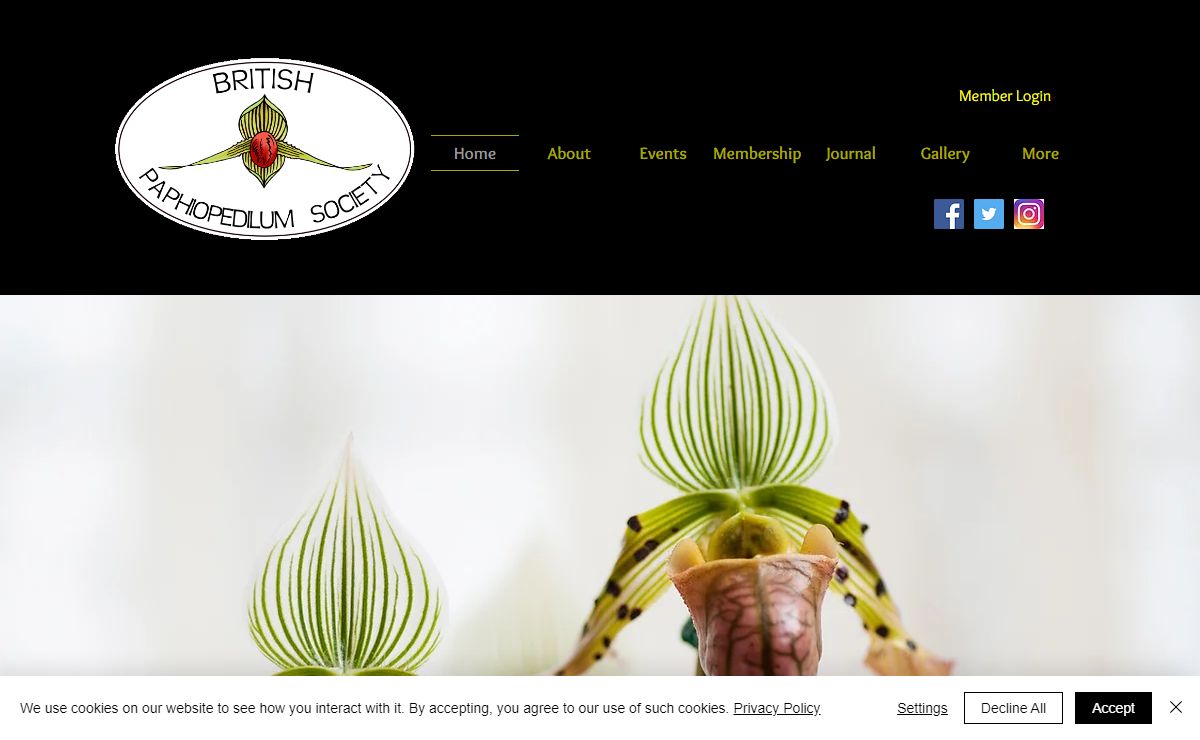 Home|British Paphiopedilum Society