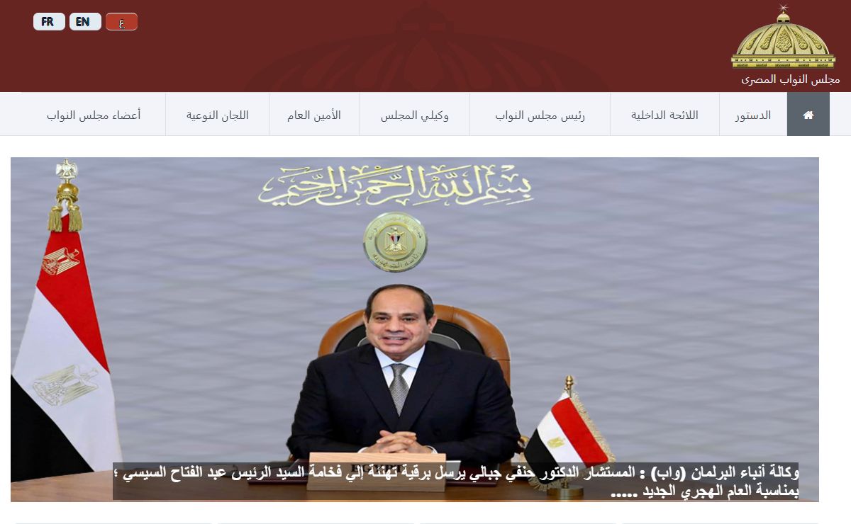 مجلس النواب المصرى
