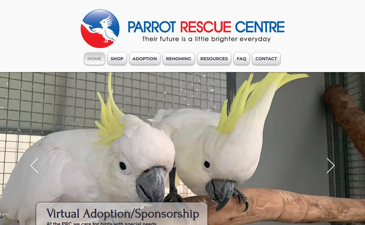 HOME | Parrot Rescue Centre