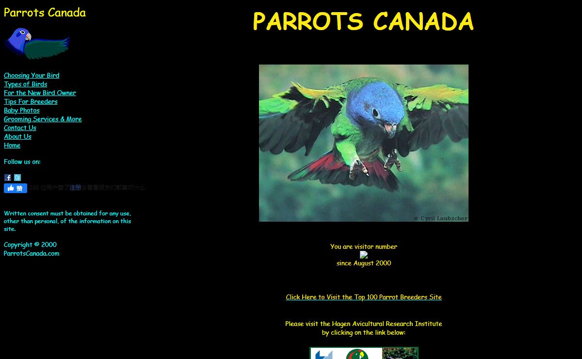 Parrots Canada