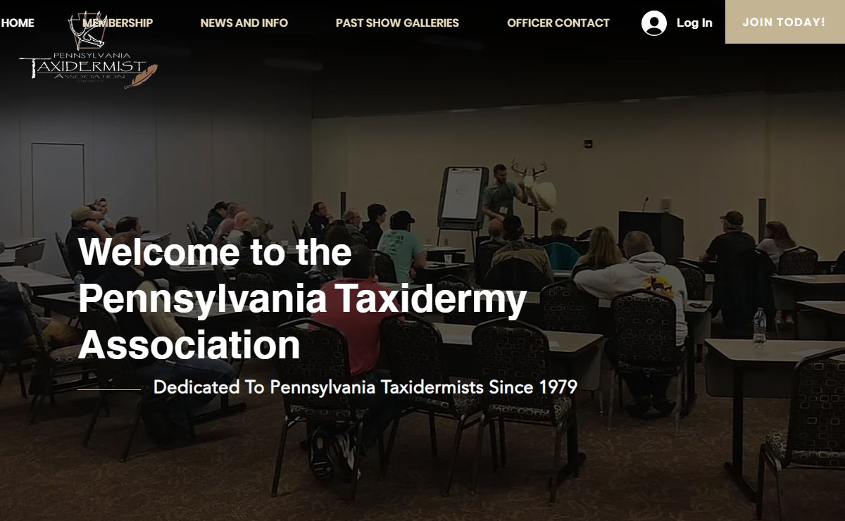 HOME | PAtaxidermy