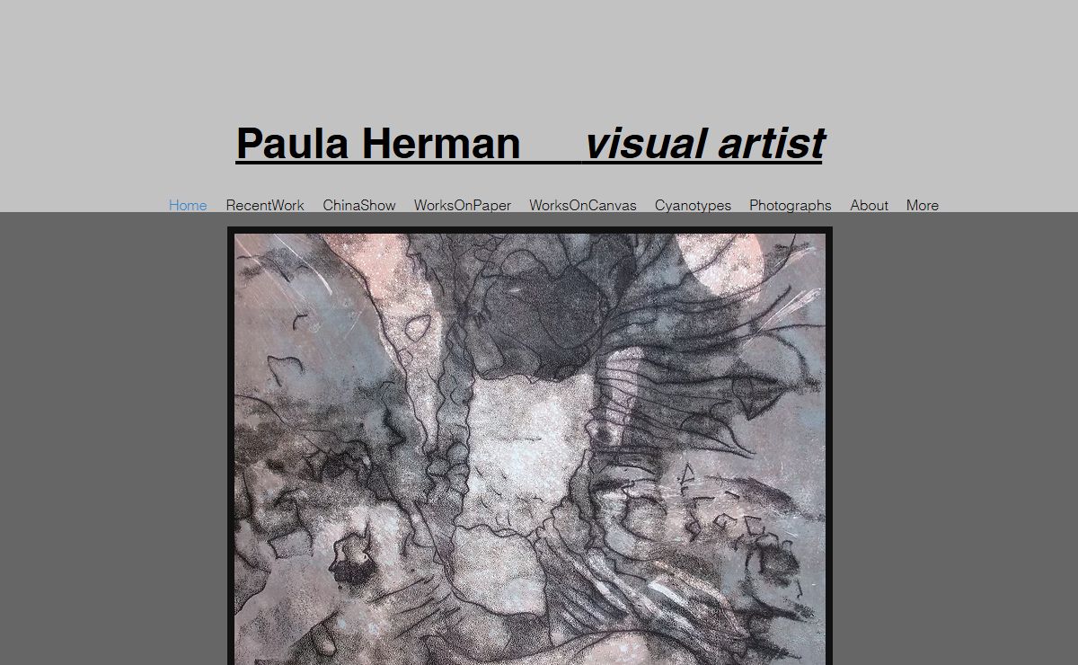 Visual Artist | Paula Herman