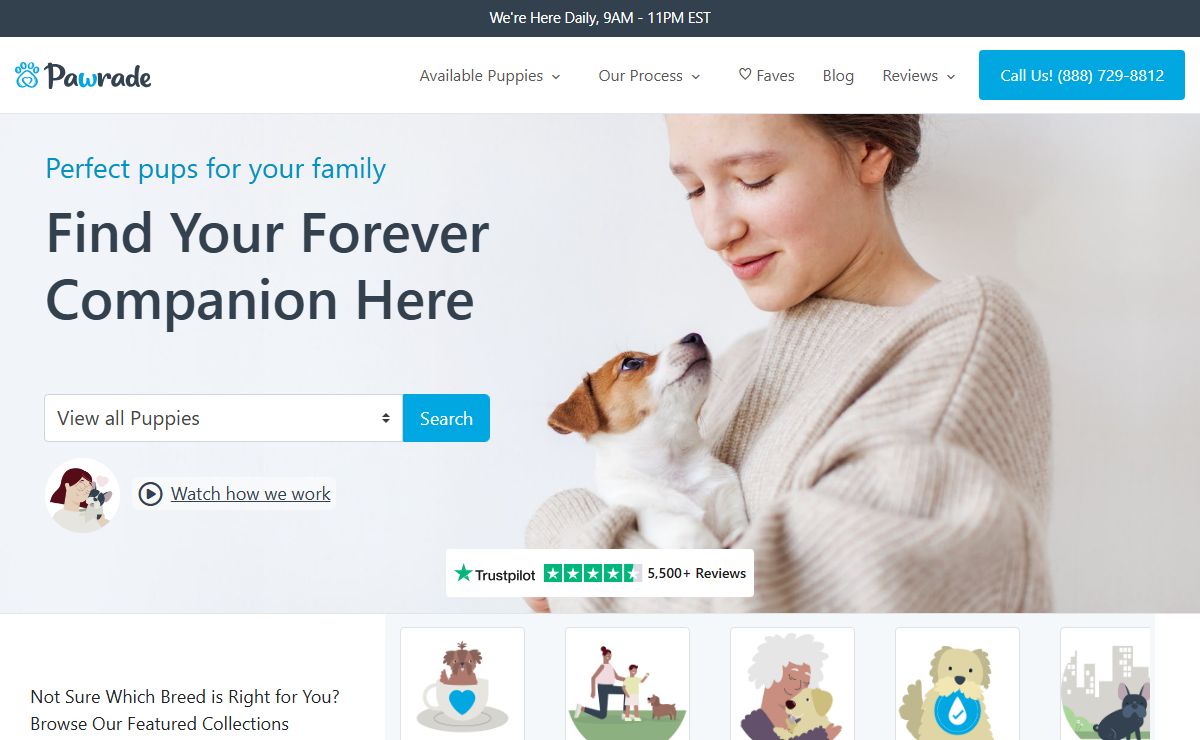 Find your Perfect Puppy | Pawrade.com