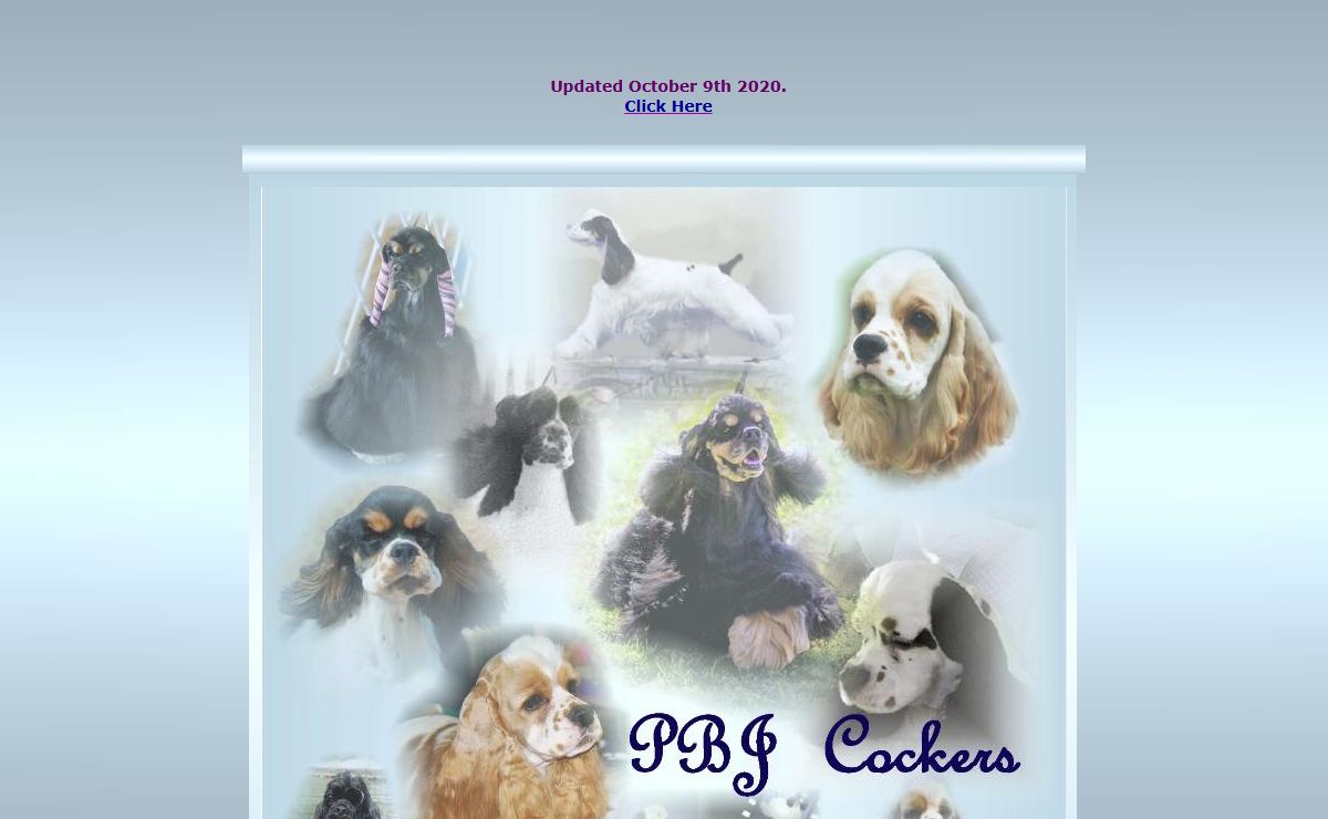 PBJ's Cocker Spaniels, breeding for quality....