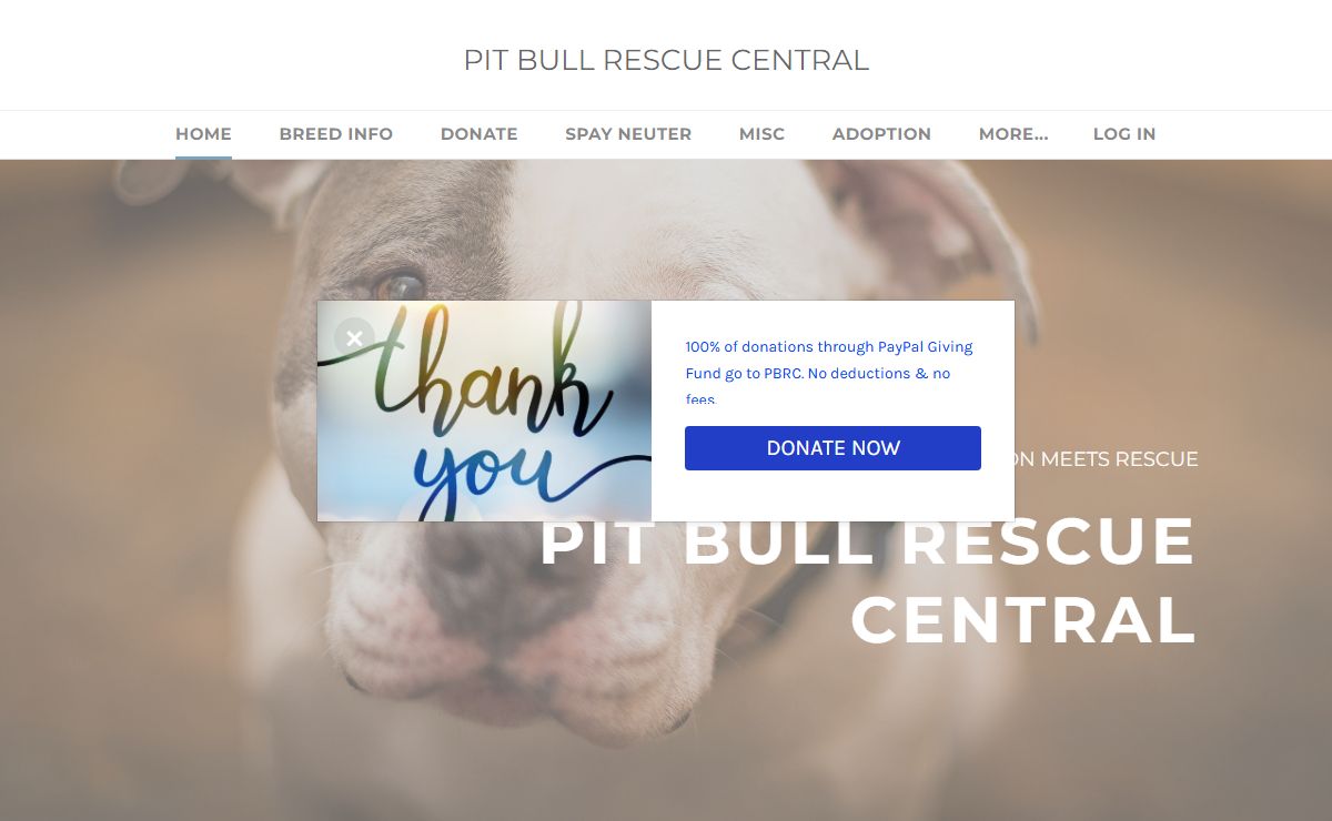 PIT BULL RESCUE CENTRAL - Pit Bull Rescue Central