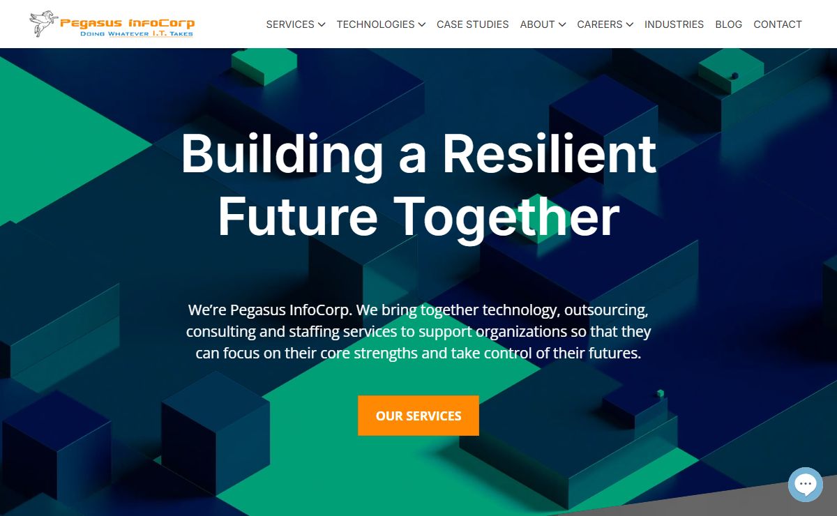 Pegasus InfoCorp | Home