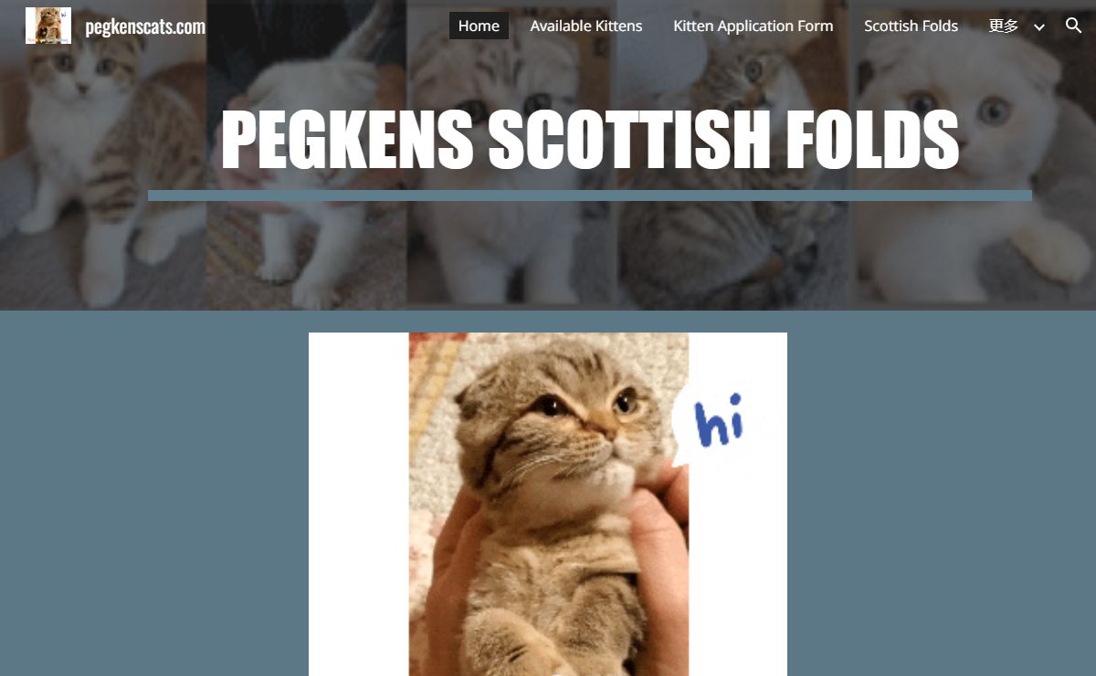 pegkenscats.com