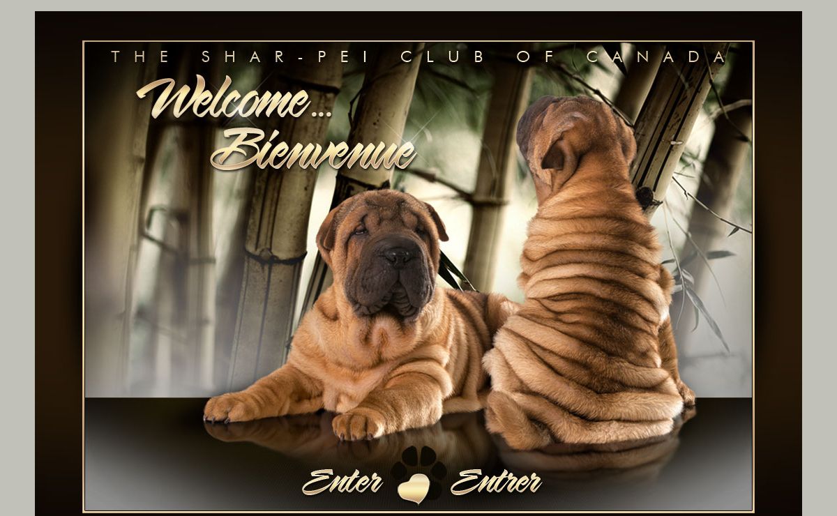 Welcome, Bievenue - Shar-Pei Club of Canada