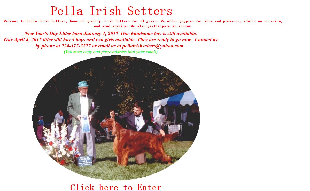 Pella Irish Setters