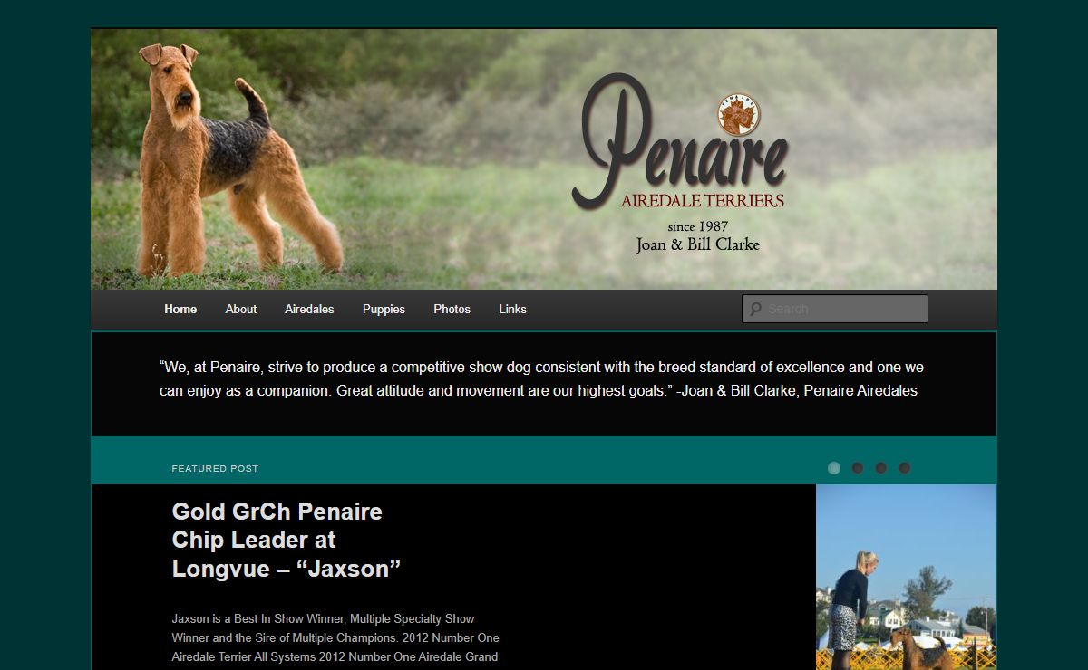 Penaire Airedale Terriers bred by Joan & Bill Clarke | bred by Joan & Bill Clarke since 1987