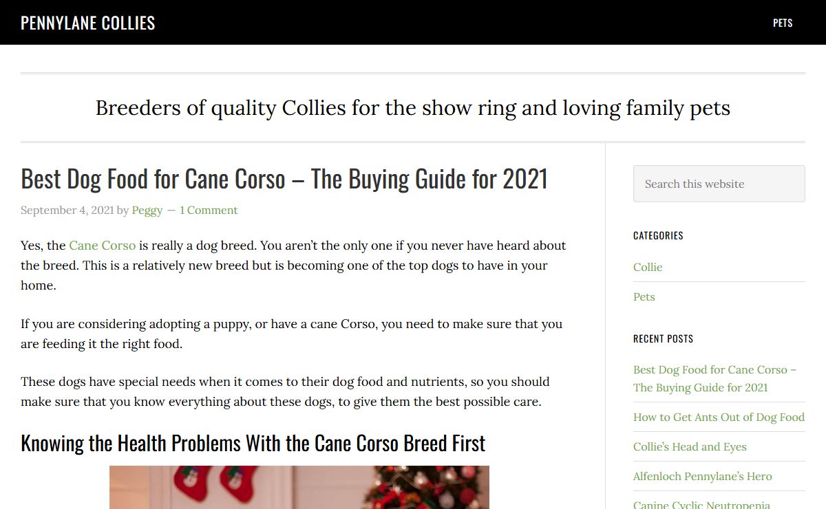 Pennylane Collies - Breeders of quality Collies for the show ring and loving family pets
