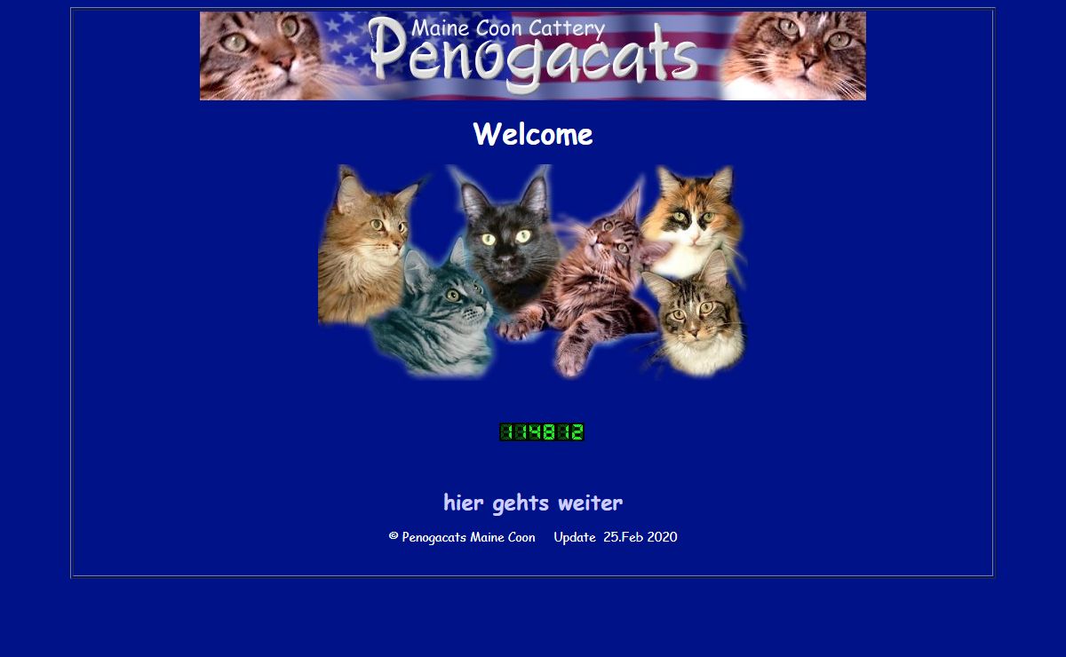 Penogacats Maine Coon Cattery Wir haben Babys