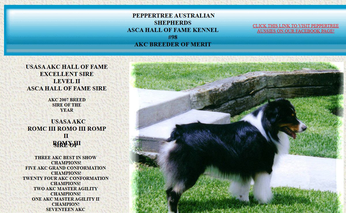 Peppertree Australian Shepherds