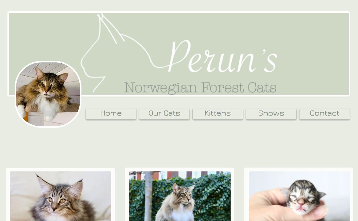 Cattery Peruns