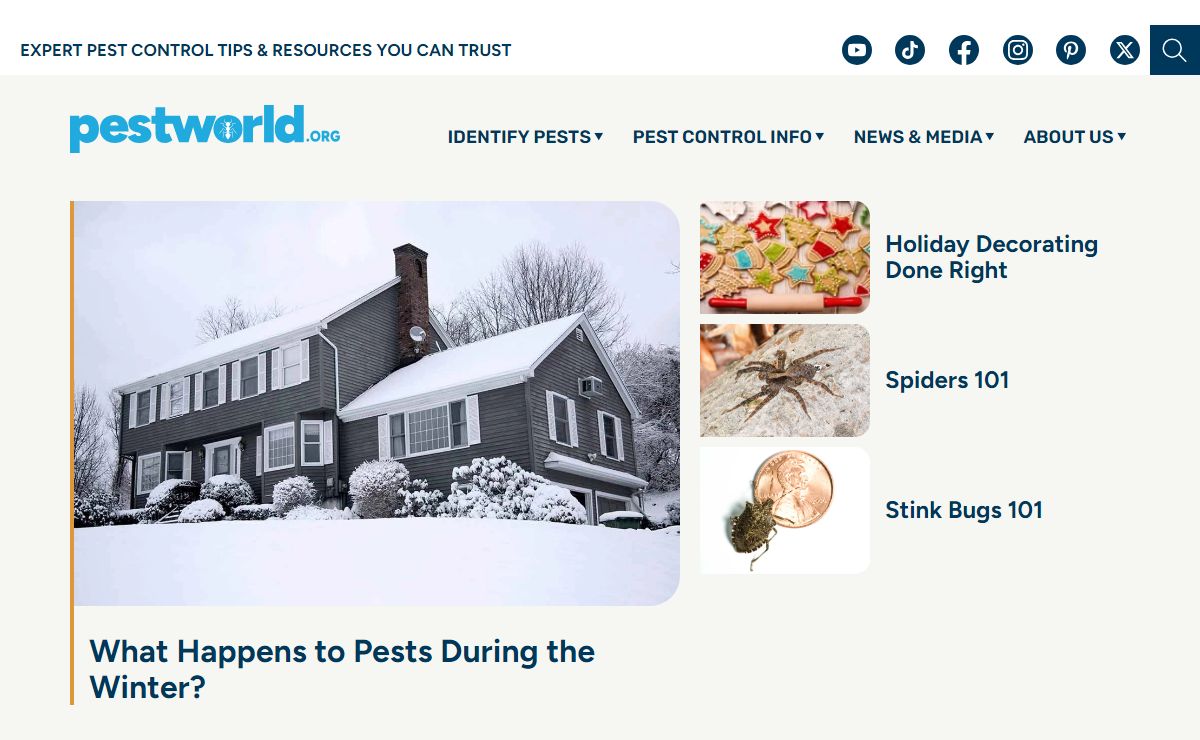 Pest Control Resources: Information, Facts on Insects & Bugs