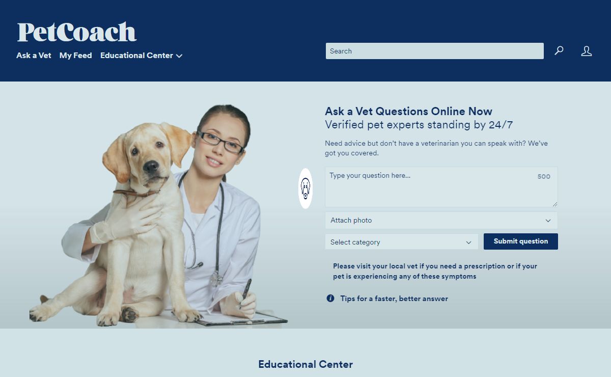 Ask A Vet Online 24/7 | PetCoach