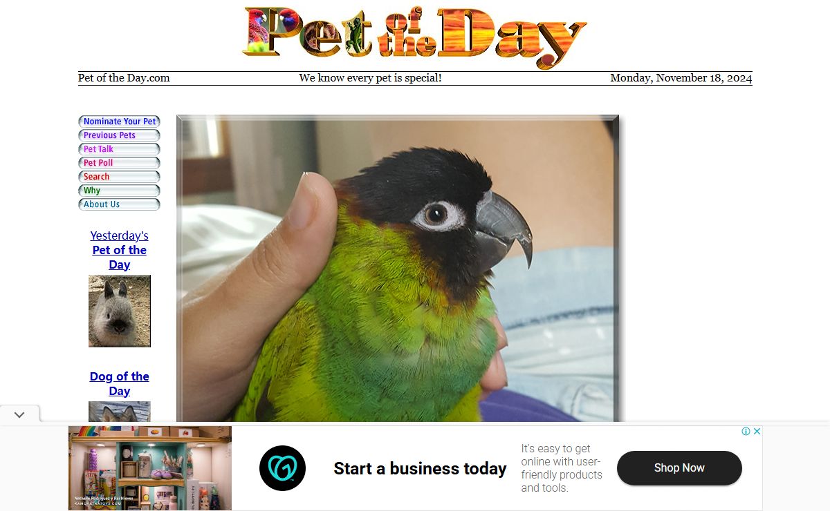 Pet of the Day - Every day a new pet photo and story since 1997