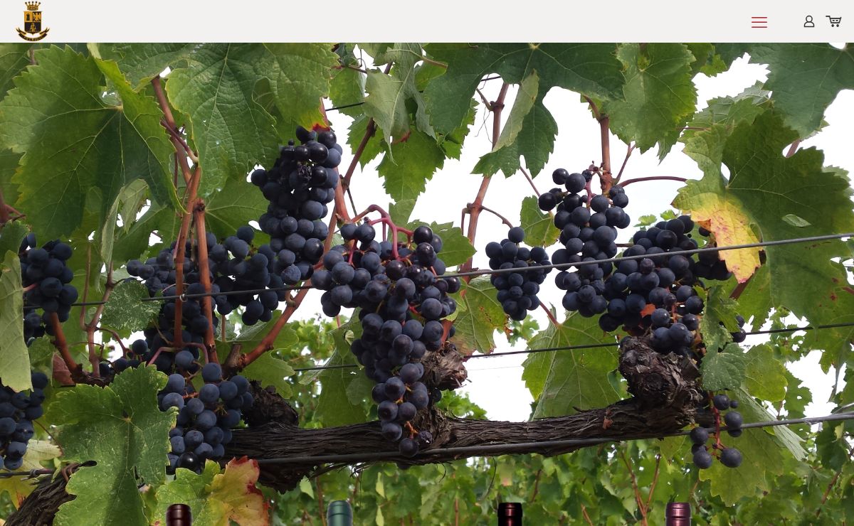 Petricci e Del Pianta Suvereto – Produzione Vino e Olio di qualità