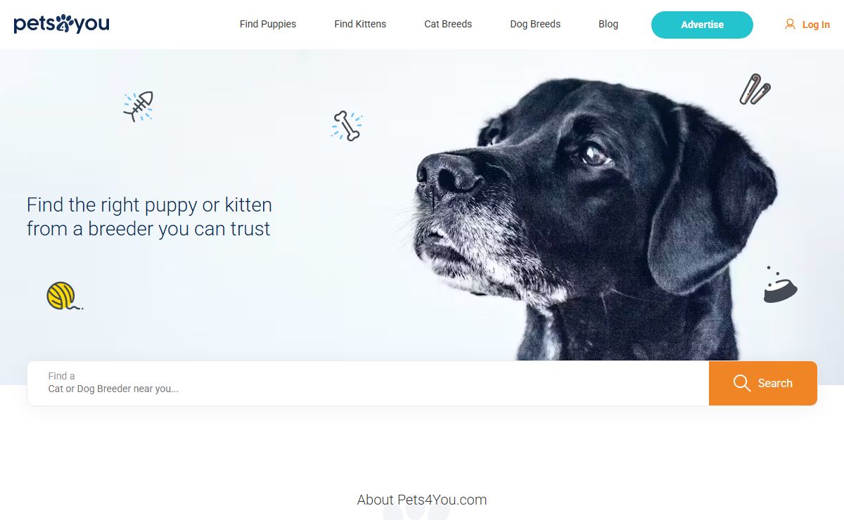 Puppies and Kittens for sale from Trusted Breeders | Pets4You